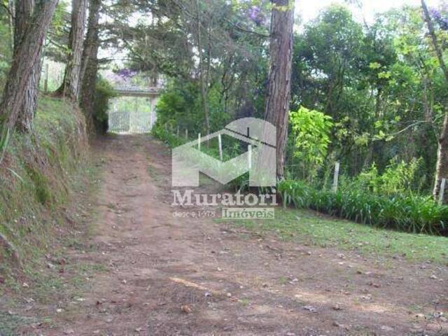 Casa para Venda em Campos do Jordão - 4