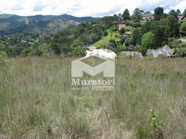 Terreno para Venda em Campos do Jordão - 4