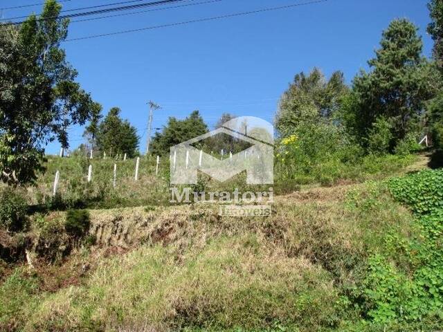 #1235 - Terreno para Venda em Campos do Jordão - SP