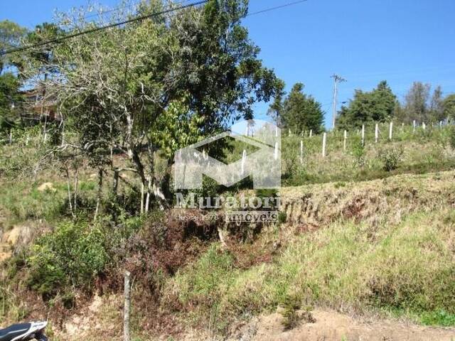 Terreno para Venda em Campos do Jordão - 4