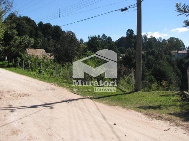 Terreno para Venda em Campos do Jordão - 5