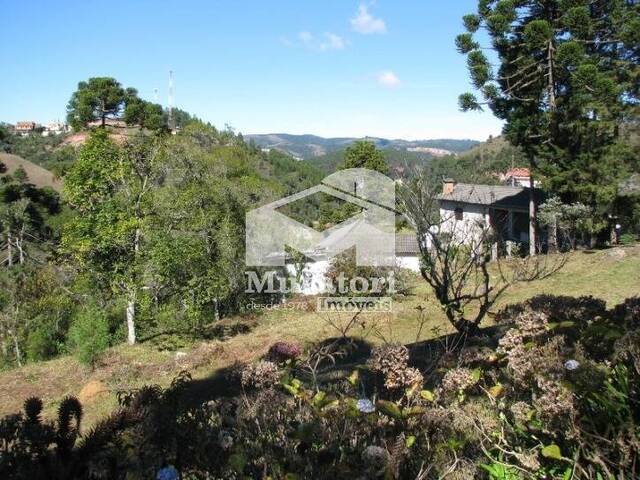 Casa para Venda em Campos do Jordão - 4