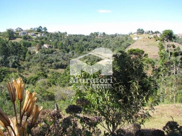Casa para Venda em Campos do Jordão - 5