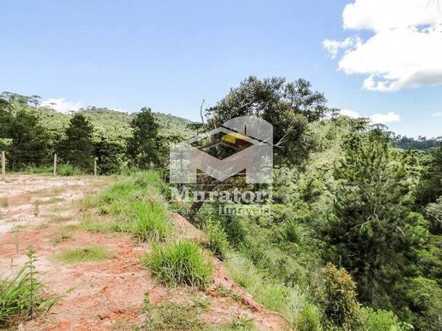 #1630 - Terreno para Venda em Campos do Jordão - SP