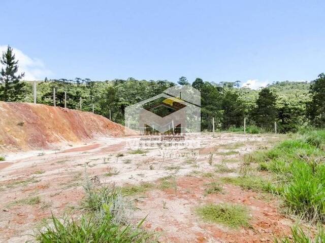 Terreno para Venda em Campos do Jordão - 4