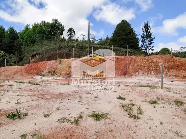 Terreno para Venda em Campos do Jordão - 5