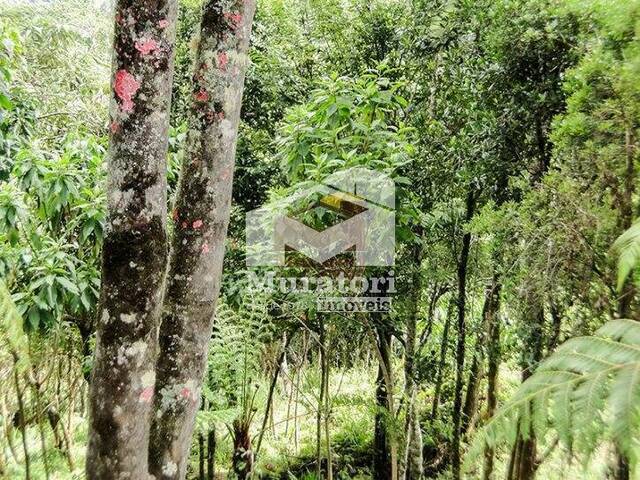 #1671 - Terreno para Venda em Campos do Jordão - SP