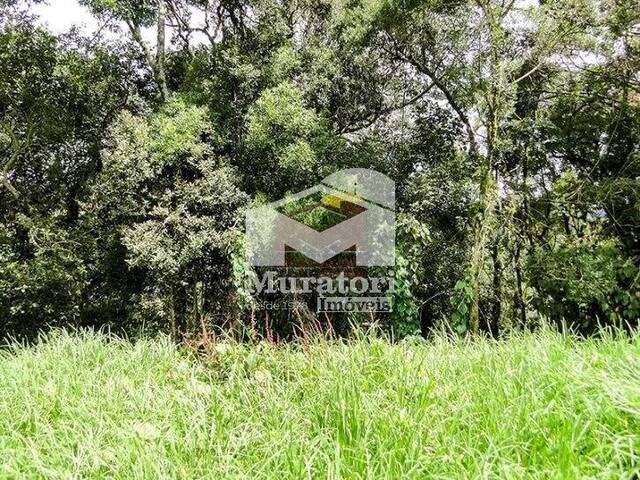 Terreno para Venda em Campos do Jordão - 4