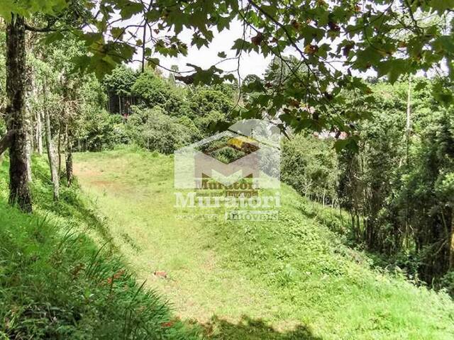 Terreno para Venda em Campos do Jordão - 5